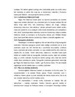 Referāts 'Baltijas jūras piekraste. Pludmales', 13.