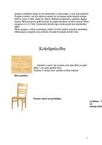 Konspekts 'Pētījums: bērzu saimnieciskais pielietojums', 7.