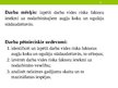 Prezentācija 'Darba vides riska faktoru ietekme uz nodarbināto veselību augļu koku un ogulāju ', 3.