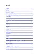 Referāts 'Čehija', 2.