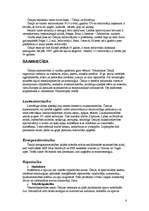 Referāts 'Čehija', 6.