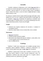 Referāts 'Banku kredīti un to veidi', 5.