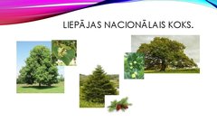 Prezentācija 'Viktorīna «Kā es pazīstu Liepāju un  liepājniekus»', 15.