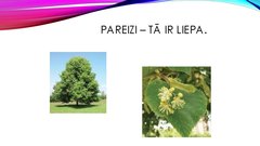 Prezentācija 'Viktorīna «Kā es pazīstu Liepāju un  liepājniekus»', 16.