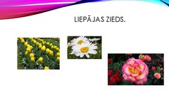 Prezentācija 'Viktorīna «Kā es pazīstu Liepāju un  liepājniekus»', 17.