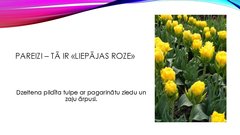 Prezentācija 'Viktorīna «Kā es pazīstu Liepāju un  liepājniekus»', 18.