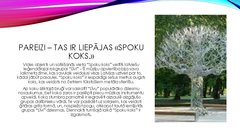 Prezentācija 'Viktorīna «Kā es pazīstu Liepāju un  liepājniekus»', 30.