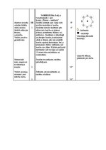 Konspekts 'Sporta stundas konspekts vingrošanā 1.klasei', 4.
