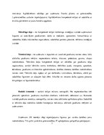 Referāts 'Svētku un sarīkojumu vadība', 7.