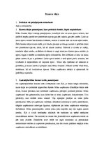 Konspekts 'Biznesa ideja - lielo izmēru apavu veikals', 2.