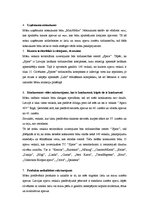 Konspekts 'Biznesa ideja - lielo izmēru apavu veikals', 3.