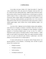 Referāts 'Brīvā laika pavadīšanas iespējas veciem cilvēkiem', 5.