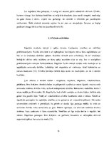 Referāts 'Brīvā laika pavadīšanas iespējas veciem cilvēkiem', 15.