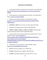 Referāts 'Brīvā laika pavadīšanas iespējas veciem cilvēkiem', 29.