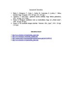 Referāts 'Patstāvīgais darbs speciālajā pedagoģijā par tēmu "Cukura diabēts"', 9.