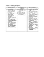 Konspekts 'Fašisms', 5.