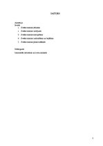 Referāts 'Svešas mantas krimināltiesiskie aspekti', 3.