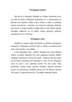 Referāts 'Vērtspapīri', 2.