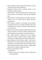 Referāts 'Vērtspapīri', 18.