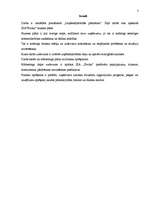 Biznesa plāns 'SIA „Evrika” biznesa plāns', 3.