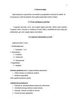 Biznesa plāns 'SIA „Evrika” biznesa plāns', 7.