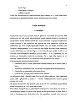 Biznesa plāns 'SIA „Evrika” biznesa plāns', 10.