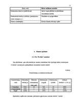 Biznesa plāns 'SIA „Evrika” biznesa plāns', 13.