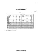 Biznesa plāns 'SIA „Evrika” biznesa plāns', 15.