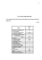 Biznesa plāns 'SIA „Evrika” biznesa plāns', 17.