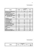 Biznesa plāns 'SIA „Evrika” biznesa plāns', 18.