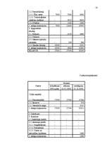 Biznesa plāns 'SIA „Evrika” biznesa plāns', 20.