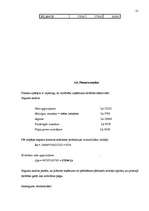 Biznesa plāns 'SIA „Evrika” biznesa plāns', 21.