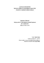 Prakses atskaite 'Prakses atskaite (VID/Uzņēmums)', 1.