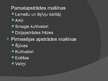 Prezentācija 'Lauksaimniecības mašīnu sistēmas un to izmantošana augkopībā', 5.
