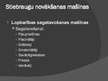 Prezentācija 'Lauksaimniecības mašīnu sistēmas un to izmantošana augkopībā', 26.