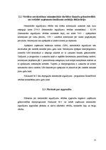 Prakses atskaite 'SIA "MP" prakses atskaite', 10.