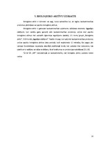 Prakses atskaite 'SIA "MP" prakses atskaite', 18.