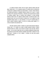 Prakses atskaite 'SIA "MP" prakses atskaite', 44.