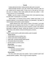 Referāts 'Reklāmas ietekme jauniešu vecumposmā', 3.