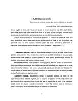 Referāts 'Reklāmas ietekme jauniešu vecumposmā', 7.