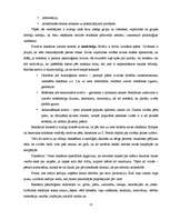 Referāts 'Reklāmas ietekme jauniešu vecumposmā', 13.