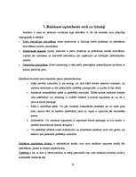 Referāts 'Reklāmas ietekme jauniešu vecumposmā', 19.