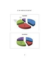 Referāts 'Reklāmas ietekme jauniešu vecumposmā', 28.