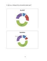 Referāts 'Reklāmas ietekme jauniešu vecumposmā', 31.