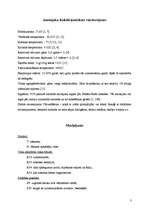 Referāts 'Amonjaks', 3.