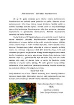 Konspekts 'Vasīlijs Kandinskis', 4.