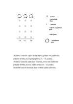 Konspekts 'Veiklības stafete', 3.