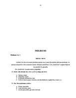 Diplomdarbs 'SIA "Baltā bura" produkta piemērotība tirgus situācijai Latgales reģionā', 91.