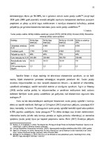 Referāts 'Nodokļu instrumentu ietekme uz saules paneļu izmantošanu mājsaimniecībās', 13.