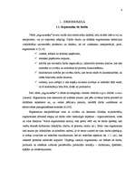 Referāts 'Biroja mikrovides veidošana', 4.